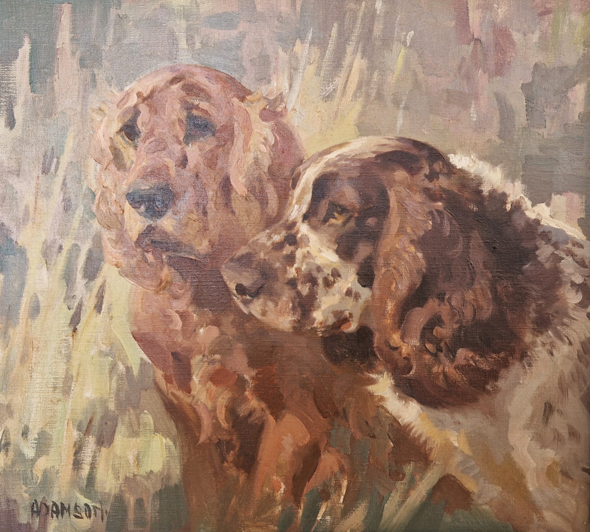 Two Spaniels